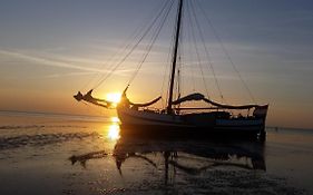 Tjalkjacht Pelikaan Enkhuizen